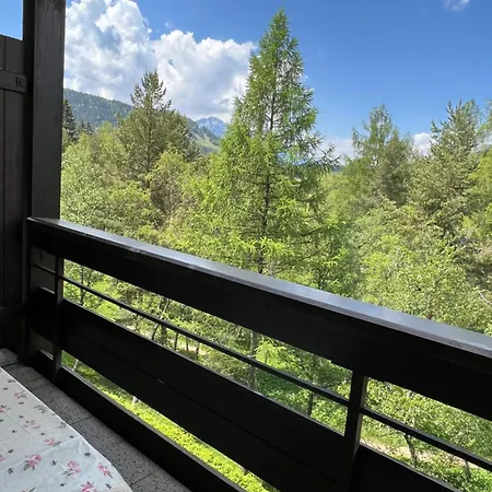 Appartementhaus Birkenwald Seefeld in Tirol