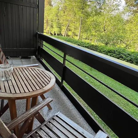 Appartementhaus Birkenwald Seefeld in Tirol