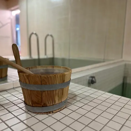 Apart Otel Appartementhaus Birkenwald Seefeld in Tirol