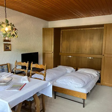 Ξενοδοχείο με διαμερίσματα Appartementhaus Birkenwald Ζέεφελντ