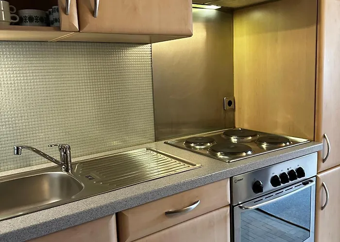 Aparthotel Appartementhaus Birkenwald 4*