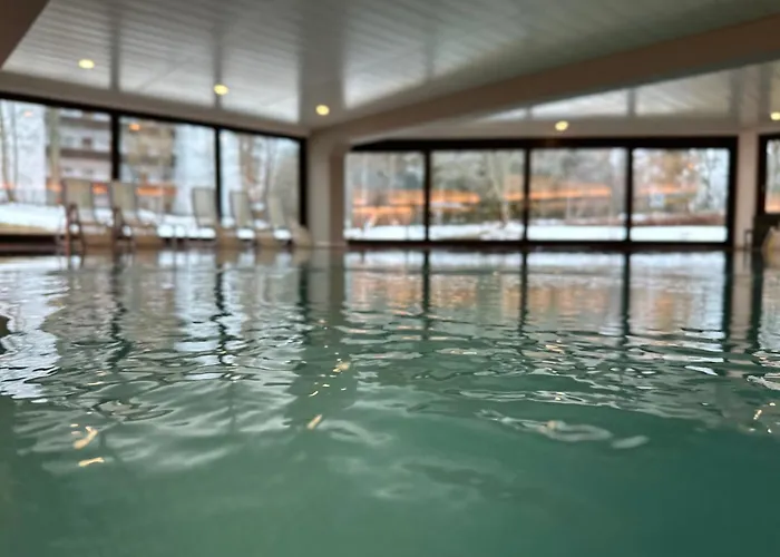 Aparthotel Appartementhaus Birkenwald 4*